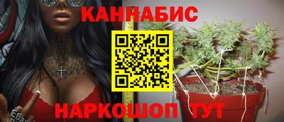 твердый Будённовск