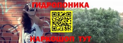 твердый Будённовск