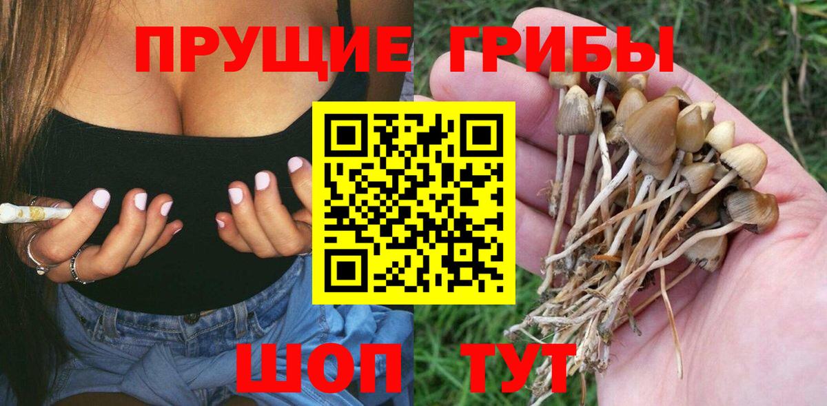 Псилоцибиновые грибы GOLDEN TEACHER  Вход с VPN  Нефтекамск 